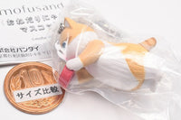 mofusand Onedari Nyanko Mascot [5.Plate]