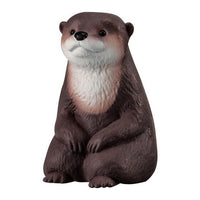 Machiboke Part.13 [2.Otter]