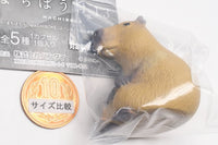 Machiboke Part.13 [5.Capybara]
