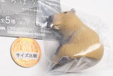 Machiboke Part.13 [5.Capybara]