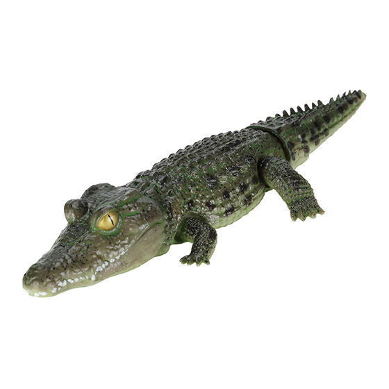 Ikimono Encyclopedia Repti Crocodile [1.Nile crocodile (green)]