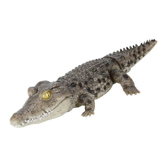 Ikimono Encyclopedia Repti Crocodile [2.Nile crocodile (light)]