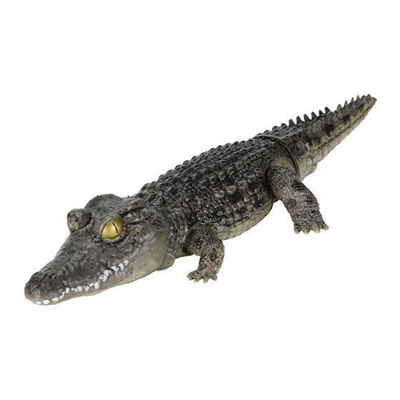 Ikimono Encyclopedia Repti Crocodile [3.Nile crocodile (dark)]