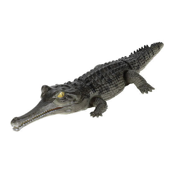 Ikimono Encyclopedia Repti Crocodile [5.Gaviali (dark)]