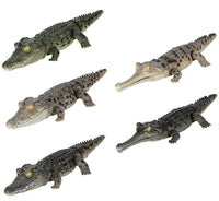 Ikimono Encyclopedia Repti Crocodile [All 5 type set(Full Complete)]