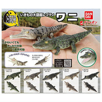 Ikimono Encyclopedia Repti Crocodile [All 5 type set(Full Complete)]