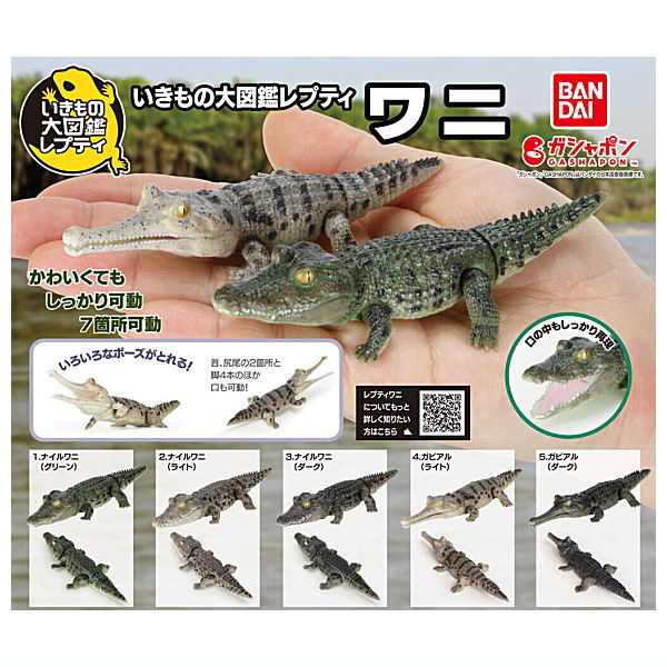Ikimono Encyclopedia Repti Crocodile [All 5 type set(Full Complete)]