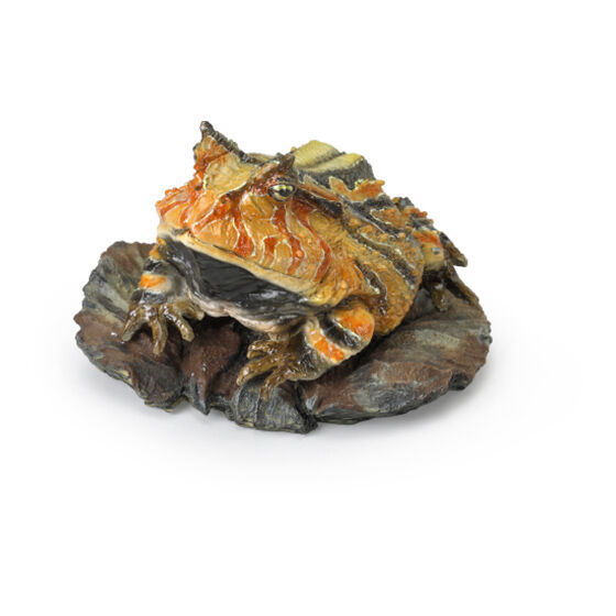 Mini Collection Amphibian 02 [3.Rare: Amazon horned frog (brown)]