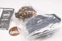 Mini Collection Amphibian 02 [4.Common rain frog]