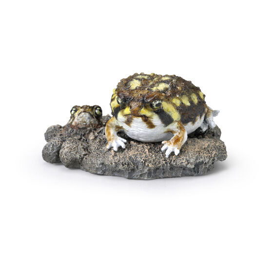 Mini Collection Amphibian 02 [4.Common rain frog]