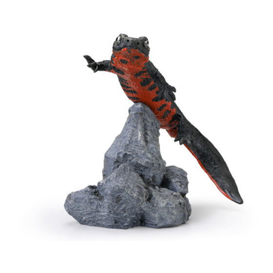Mini Collection Amphibian 02 [5.Red-bellied newt (normal)]