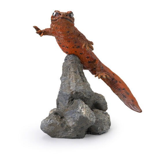 Mini Collection Amphibian 02 [6.Rare: Red-bellied newt (red individual)]