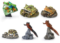 Mini Collection Amphibian 02 [All 6 type set(Full Complete)]