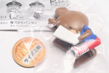 The Bear's School Hasamundesu. Deluxe [3.Jackie B]