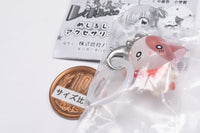 Kirarin Revolution Mejirushi Accessory [4.Na-san]