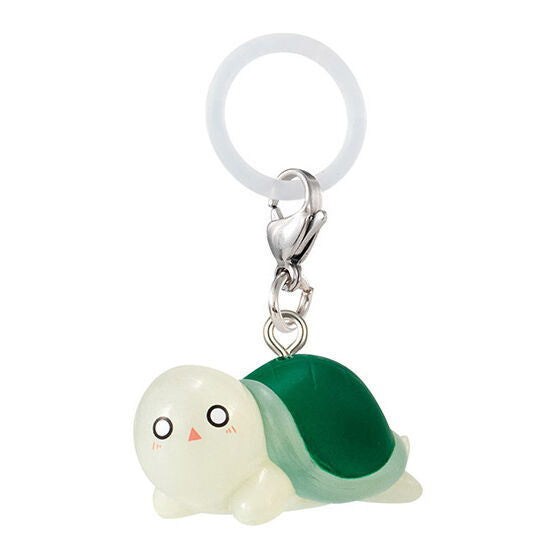 Kirarin Revolution Mejirushi Accessory [6.Kamesan]