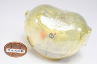 Petit Cure Capsule House Collection [5.Petit Cure Coco]