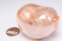 Petit Cure Capsule House Collection [6.Petit Cure Nuts]