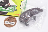 PUTITTO Pygmy Hippo [2.Ohirune]