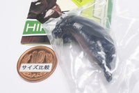 PUTITTO Pygmy Hippo [7.Hikkakari (Blackish brown)]