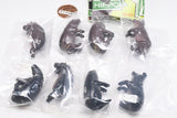 PUTITTO Pygmy Hippo [All 8 type set(Full Complete)]