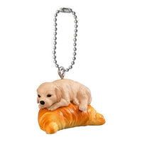 INUPAN Returns [2.Golden retriever x croissant]