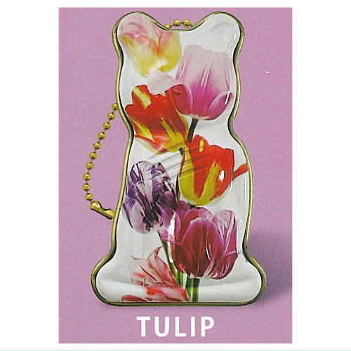 CACAOCAT Melty Cat Can Mascot [2.TULIP]
