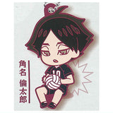 Deformed Rubber Shiratorizawa Academy Inarizaki High Keychain [7.Rintaro Suna]