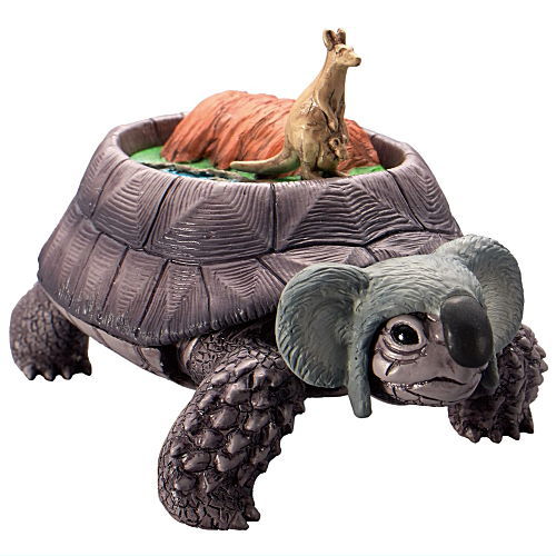 Continent Tortoise [1.Australian Turtle]