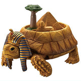 Continent Tortoise [3.African Turtle]