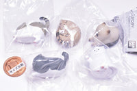 Okottanekochaaan Part.3 [All 5 type set(Full Complete)]