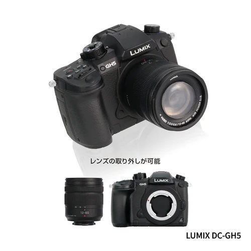 LUMIX Miniature Collection [2.LUMIX DC-GH5]