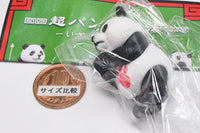 Super Pandakenpo Iza, jinjo ni shobu [1.Pandakenrei]