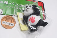 Super Pandakenpo Iza, jinjo ni shobu [4.Pannokamae]