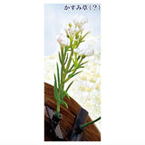 Kusahaetetekusa karano Hanazono Hair clip [1.Gypsophila (?)]