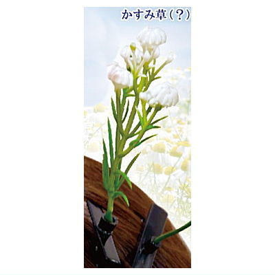 Kusahaetetekusa karano Hanazono Hair clip [1.Gypsophila (?)]