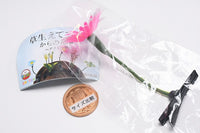 Kusahaetetekusa karano Hanazono Hair clip [4.Flower]