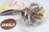 Kawaii Spider [3.Tilt head (with egg)]