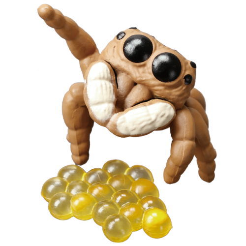 Kawaii Spider [3.Tilt head (with egg)]