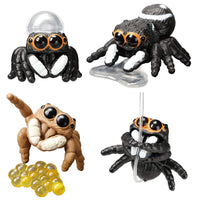 Kawaii Spider [All 4 type set (Full Complete)]