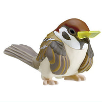 Kotori's Holiday Yankee Sparrow [5.Sunglasses (young bird)]