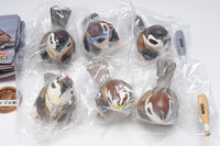 Kotori's Holiday Yankee Sparrow [All 6 type set(Full Complete)]