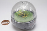 Water Dome Factory Japanese Tree Frog [1.Yellow-green]