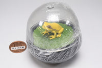 Water Dome Factory Japanese Tree Frog [2.Yellow]