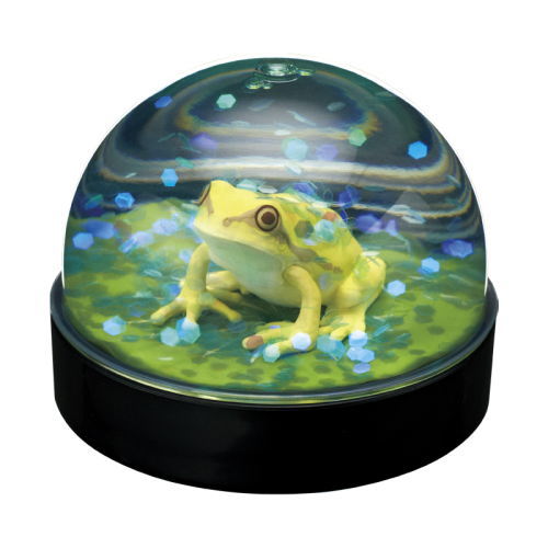 Water Dome Factory Japanese Tree Frog [2.Yellow]