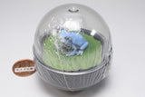 Water Dome Factory Japanese Tree Frog [3.Light-blue]