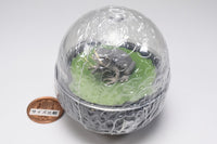 Water Dome Factory Japanese Tree Frog [4.Grey]