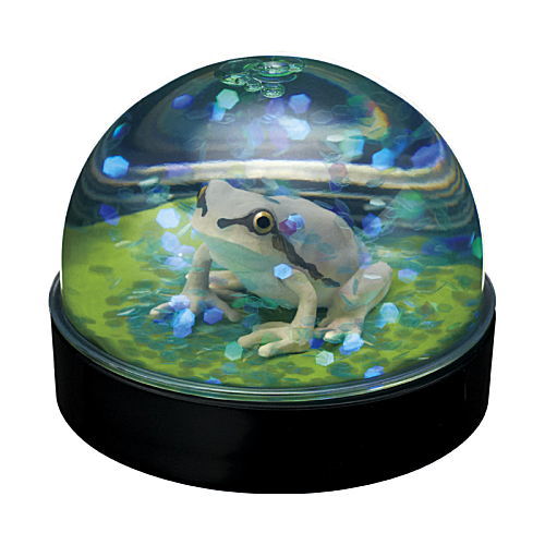 Water Dome Factory Japanese Tree Frog [4.Grey]