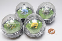 Water Dome Factory Japanese Tree Frog [All 4 type set(Full Complete)]