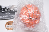 Machiboke Ball [1.Basketball]